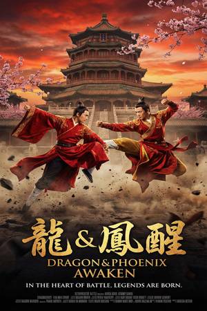 《龙虎风云》高清热播视频海报